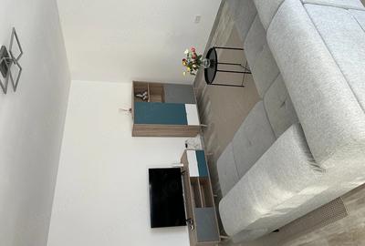 Apartament cu 2 camere semidecomandat, mobilat în Iosefin