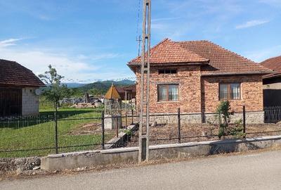 Casă cu 2 camere cu Teren 4707 Mp în Hălmăgel - 4