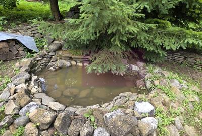 Casă individuală cu 5 camere cu Canalizare în Provița de Sus - 24