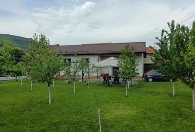 Casă cu 3 camere în Căpușu Mic - 7