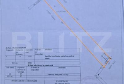 Casă cu 3 camere cu Teren 2920 Mp în Criș