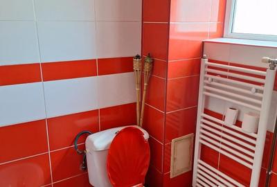 Apartament cu 2 camere decomandat în Coiciu - 10