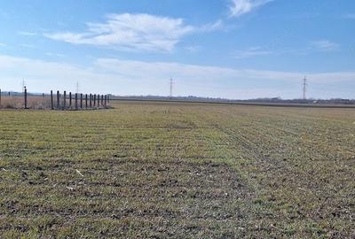 Teren de 5000 mp, în Periș