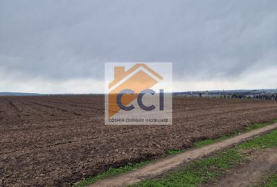 Teren agricol intravilan de 10000 mp, în Vest - 9