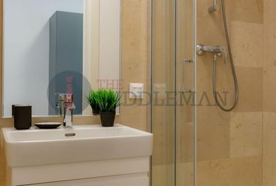 Apartament cu 3 camere decomandat, mobilat în P-ta Presei Libere - 15