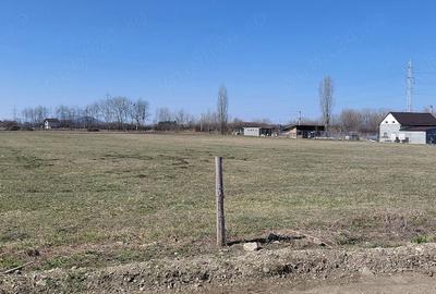 Teren de 11000 mp, în Prejmer - 3
