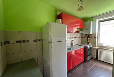 Apartament cu 2 camere semidecomandat în Luncă - 20