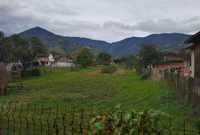 Teren de 36000 mp, în Prundu Bârgăului - 3
