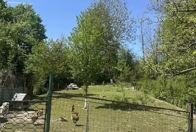Casă cu 3 camere în Poiana - 1