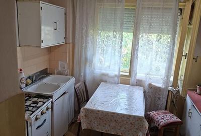 Apartament cu 2 camere în Rogerius