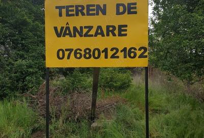 Teren de 1000 mp, în Ișalnița - 2
