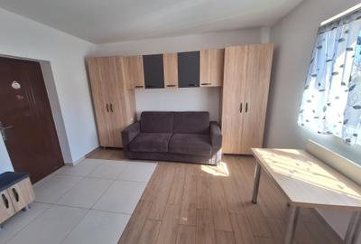 Garsonieră nedecomandată în Blașcovici - 5