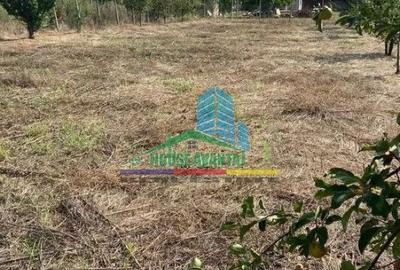 Teren Construcții intravilan de 1500 mp, în Petrești