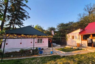 Casă cu 3 camere în Central