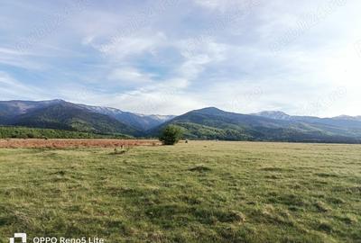 Teren de 2000 mp, în Berivoi - 1