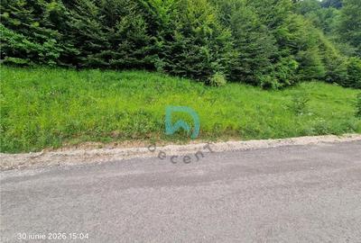 Teren intravilan de 500 mp, în Bunloc - 5