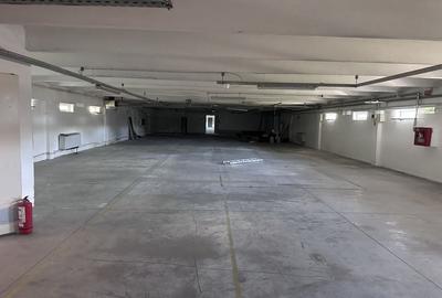 Spațiu comercial, de 1,000 mp, în Bălata - 3