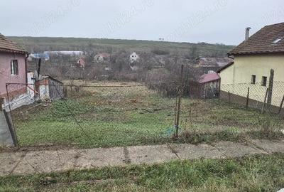 Teren de 1566 mp, în Murani - 3
