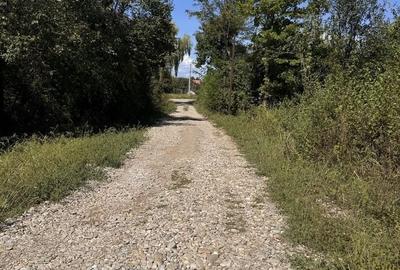 Teren de 2760 mp, în Loloiasca