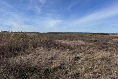 Teren agricol extravilan de 44000 mp, în Hărman - 12