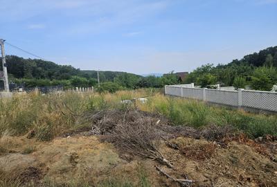 Teren Construcții intravilan de 718 mp, în Făget - 5