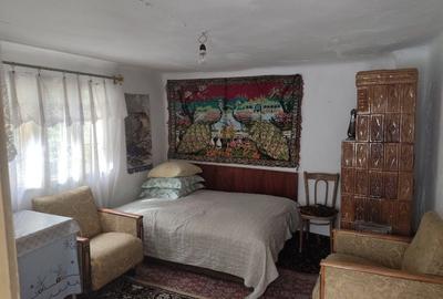 Casă cu 2 camere în Malu cu Flori