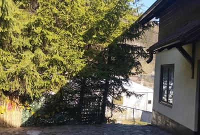 Casă cu 6 camere cu Teren 1200 Mp în Cheia - 3