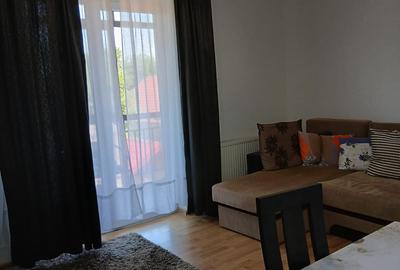 Apartament cu 2 camere decomandat în Valea Lupului - 8