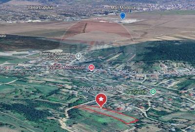 Teren Construcții intravilan de 8841 mp, în Uricani - 3