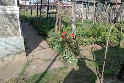 Casă cu Teren 835 Mp în Central