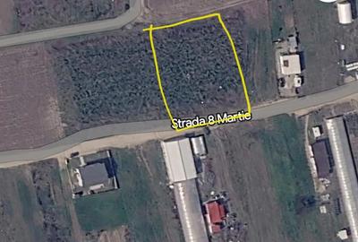 Teren de 1188 mp, în 1 Decembrie