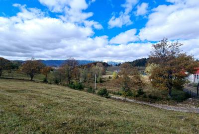 Teren intravilan de 15771 mp, în Fundata - 7