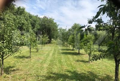 Casă cu 4 camere cu Teren 4783 Mp în Culciu - 6