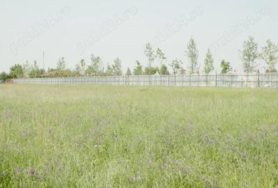 Teren de 8000 mp, în Otopeni - 3