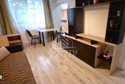 Apartament cu 2 camere în Șagului