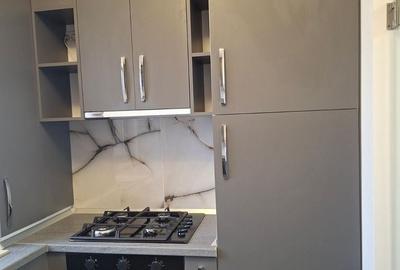 Apartament cu 2 camere în Rahova - 14