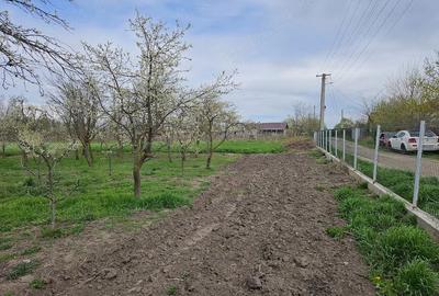 Teren de 2000 mp, în Maxenu