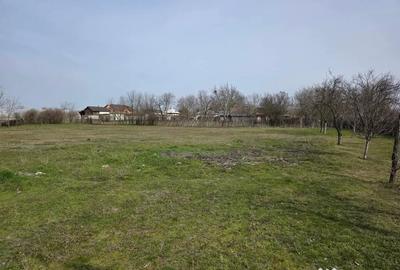 Casă cu 3 camere în Central - 6