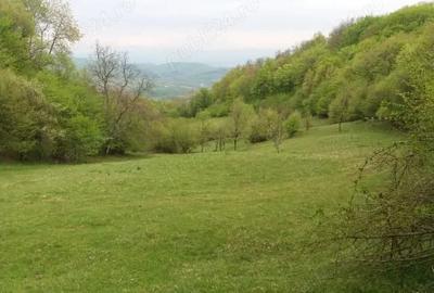 Teren de 27500 mp, în Săcărâmb