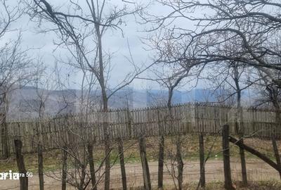 Teren de 3781 mp, în Izvoarele - 2
