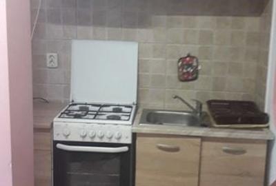 Apartament cu 2 camere în Carpați 2 - 4