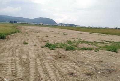 Teren Construcții intravilan de 7348 mp, în Triaj - 7