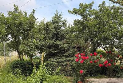 Casă cu 5 camere cu Teren 500 Mp în Pantelimon