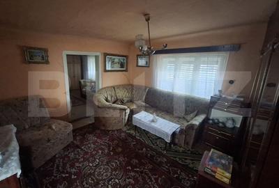 Casă cu 3 camere cu Teren 788 Mp în Ardud - 9