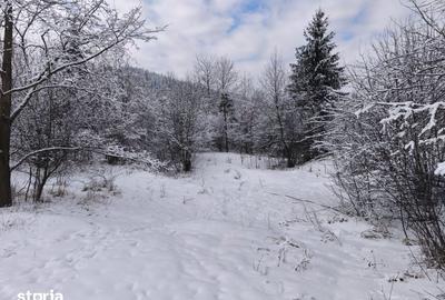 Teren de 22600 mp, în Sucevița - 1