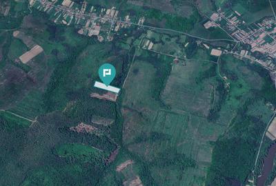 Teren extravilan de 23000 mp, în Dorgoș - 3