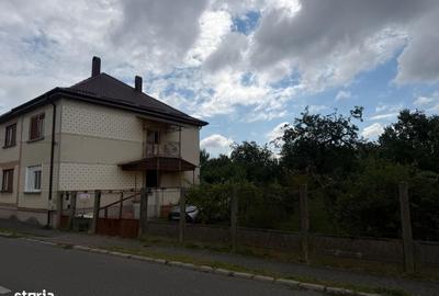 Casă cu 3 camere în Titulescu