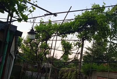 Casă cu 2 camere în Central - 1