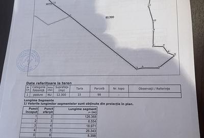 Teren de 17300 mp, în Nucșoara - 1