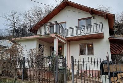Casă cu 3 camere cu Teren 500 Mp în Sărata (Sărata)